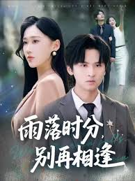 雨落時分別再相逢